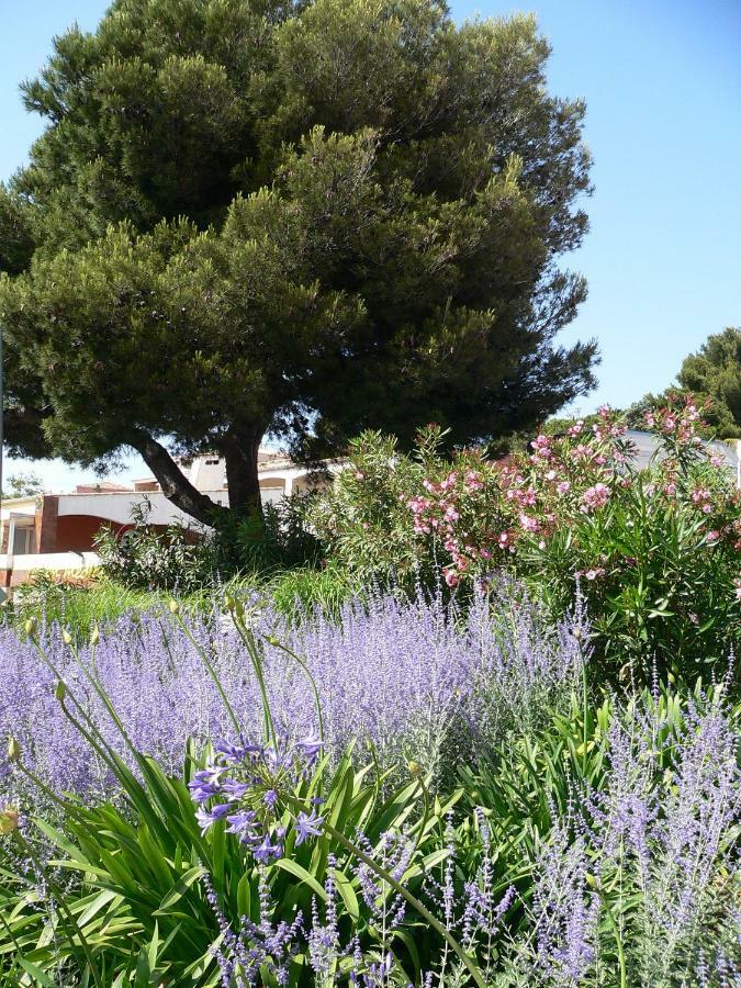 "Bien Vivre Ensemble" Aux Marches Du Soleil - Chambres Privees Chez L'Habitant Dans Appartement Partage Sète Exteriér fotografie